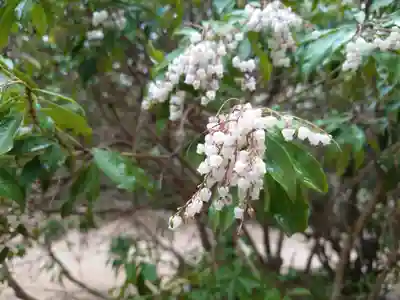 四宮神社(広島県)