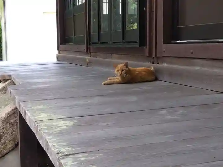 柏木神社(滋賀県)