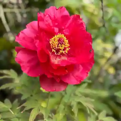 伊勢の国 四天王寺(三重県)