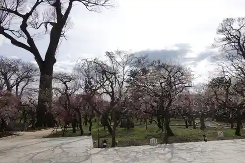 北野天満宮の庭園