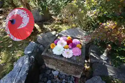 勝林寺(京都府)