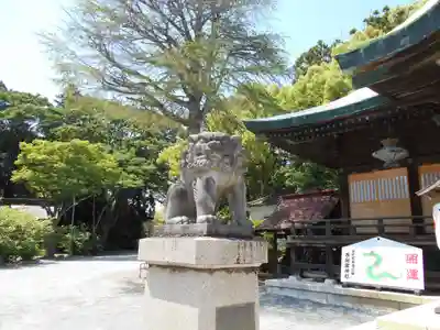 子鍬倉神社の狛犬