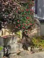 専福寺(東京都)