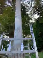 諏訪大社上社前宮の自然