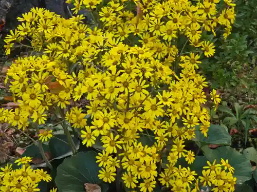 蓮華王院（三十三間堂）(京都府)