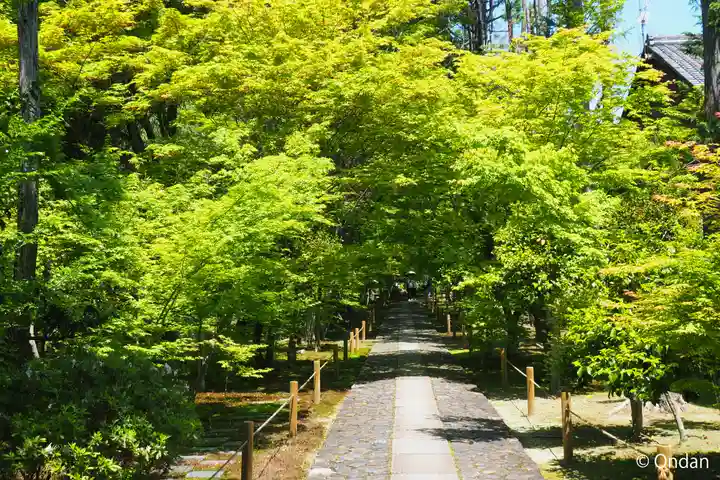 鹿王院(京都府)