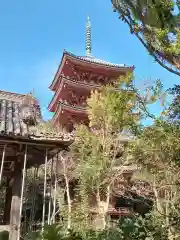 志度寺(香川県)