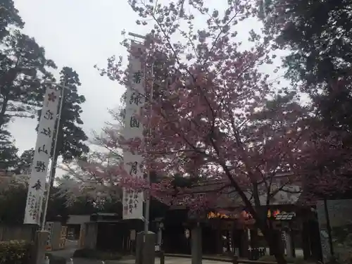 櫻木神社の自然