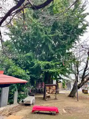 鶴峯八幡宮(茨城県)