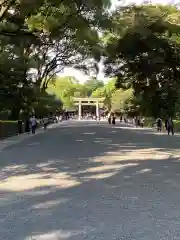 明治神宮の鳥居