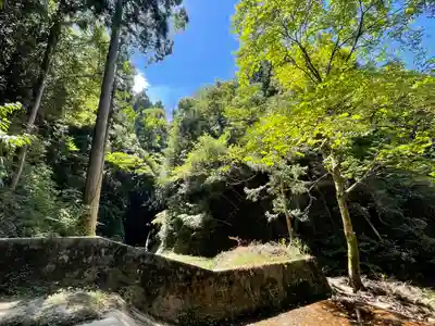 桃川多伎神社(新潟県)