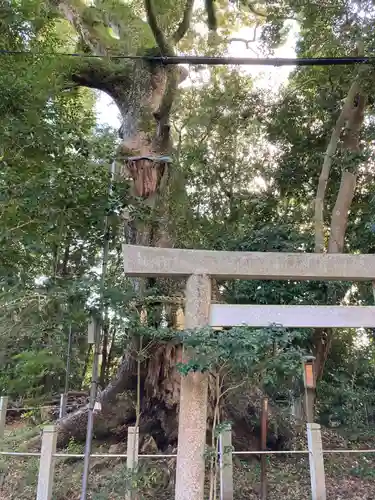 本居宣長ノ宮(三重県)
