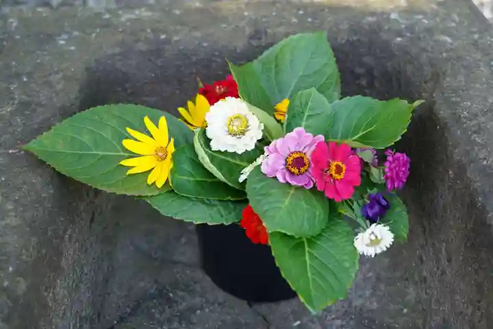熊野福藏神社の手水舎