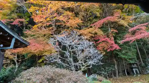 寂光院(京都府)