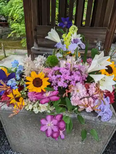 勝林寺(京都府)