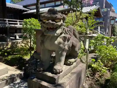 白山神社の狛犬