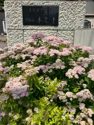 本光寺(北海道)