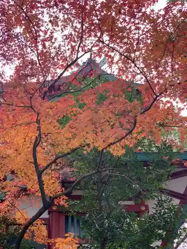 多摩川浅間神社の自然