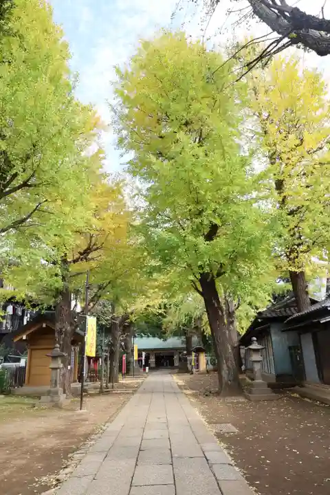 駒込天祖神社(東京都)