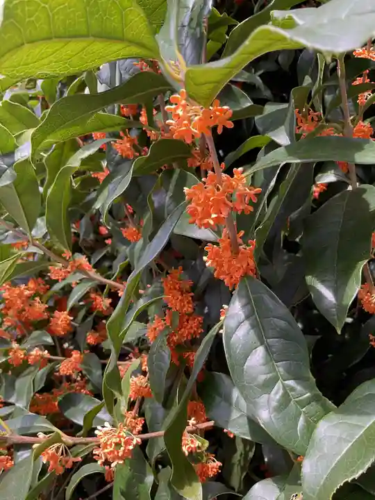 東界寺(愛知県)