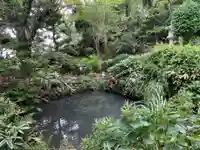 長勝寺の庭園