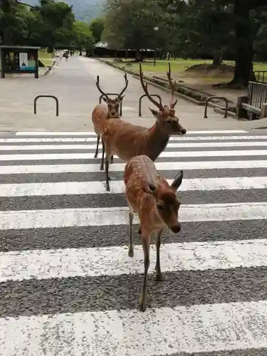 興福寺 南円堂(奈良県)