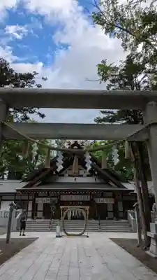 新琴似神社の鳥居