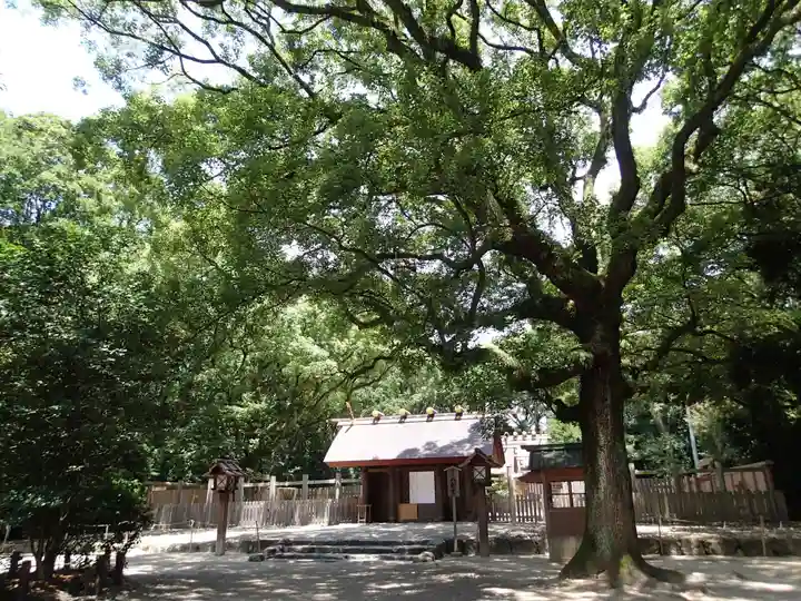 熱田神宮の自然