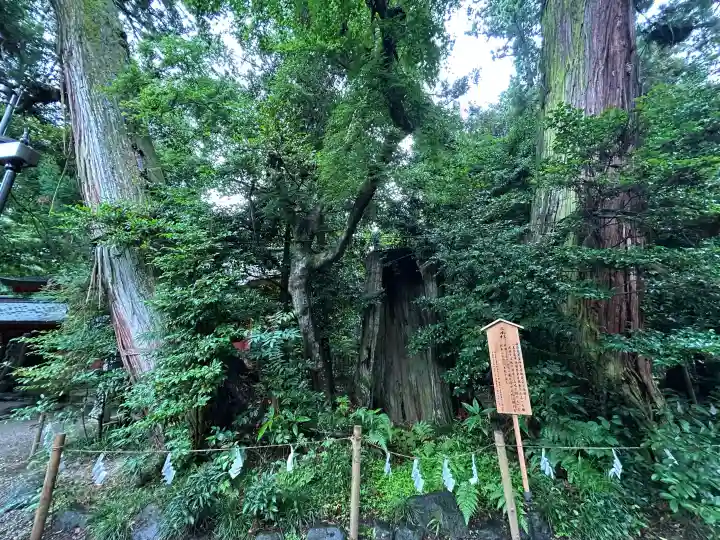 香取神宮(千葉県)