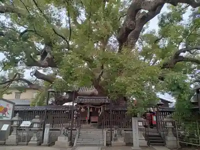三島神社のその他建物