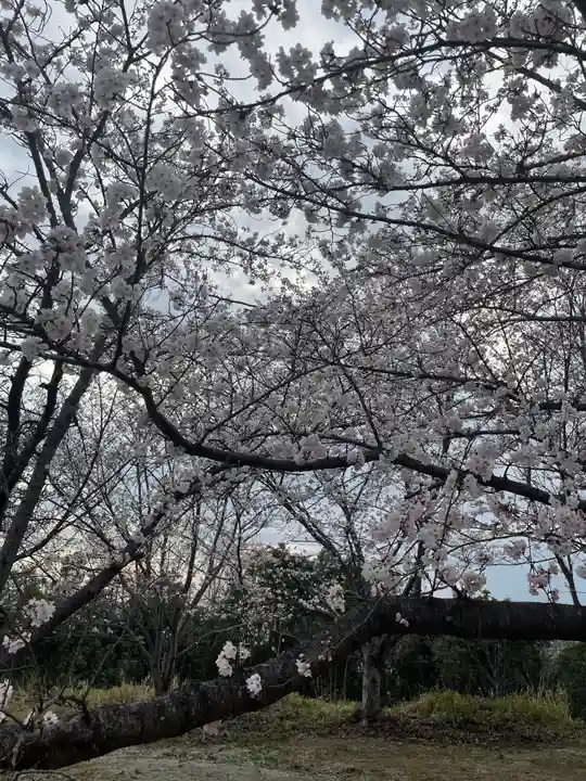 貴船神社の自然