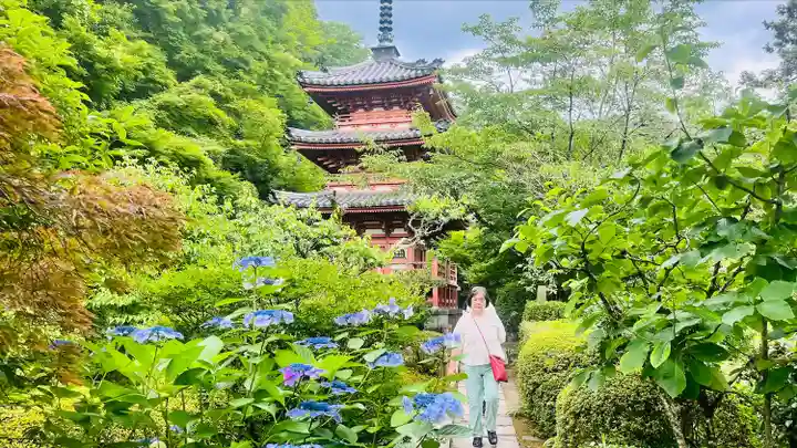 三室戸寺(京都府)