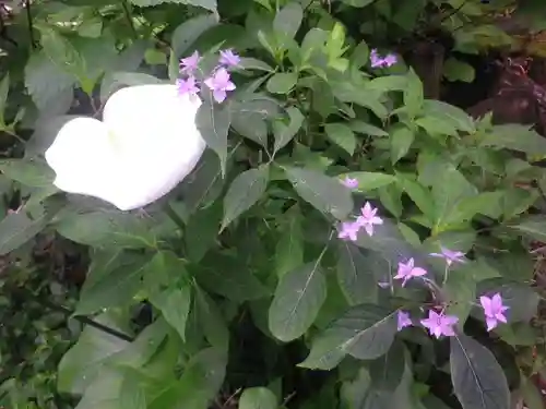 御霊神社の自然