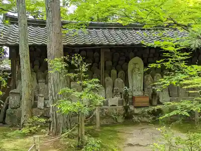 蓮華寺（洛北蓮華寺）(京都府)