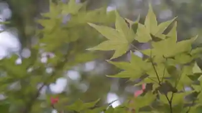 青蓮院門跡(京都府)