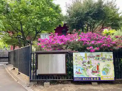 清水観音堂(東京都)