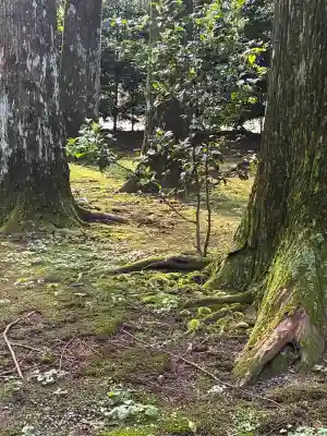 都農神社(宮崎県)