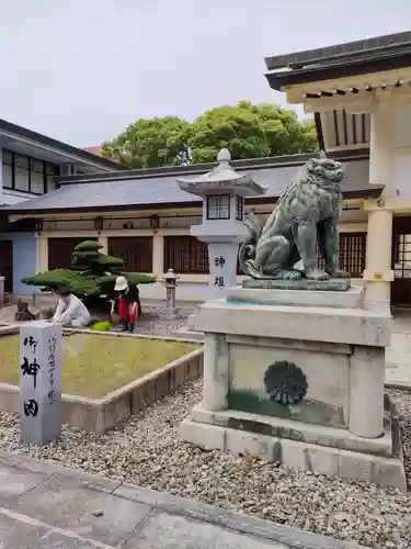 愛知縣護國神社の狛犬