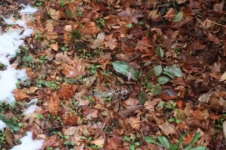 三春大神宮の自然