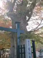 前山寺の自然