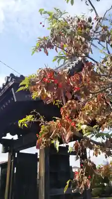 安樂寺(埼玉県)