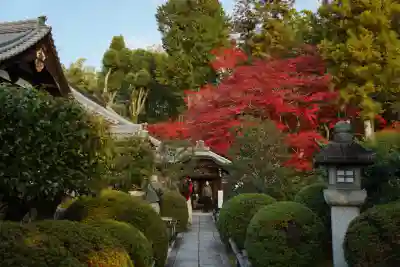 榮攝院（栄摂院）(京都府)