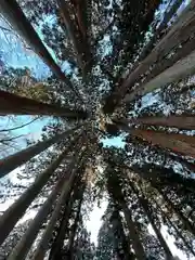 戸隠神社九頭龍社の自然