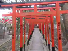 射楯兵主神社(兵庫県)