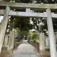 渋谷氷川神社の鳥居