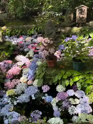 長谷寺(神奈川県)
