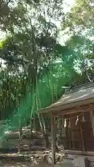 早瀧比咩神社(岡山県)