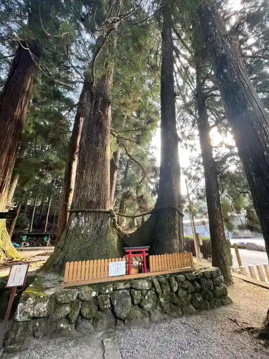 室生龍穴神社(奈良県)