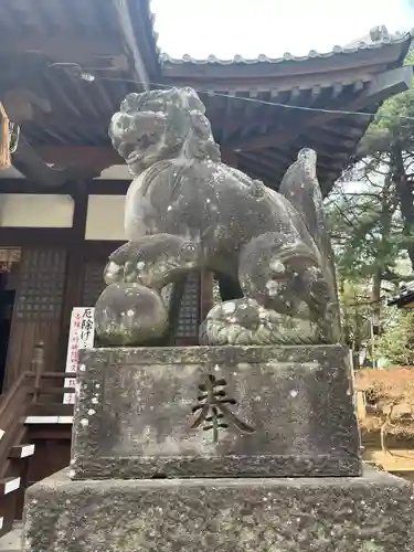 蓮神社の狛犬