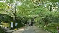 常寂光寺(京都府)